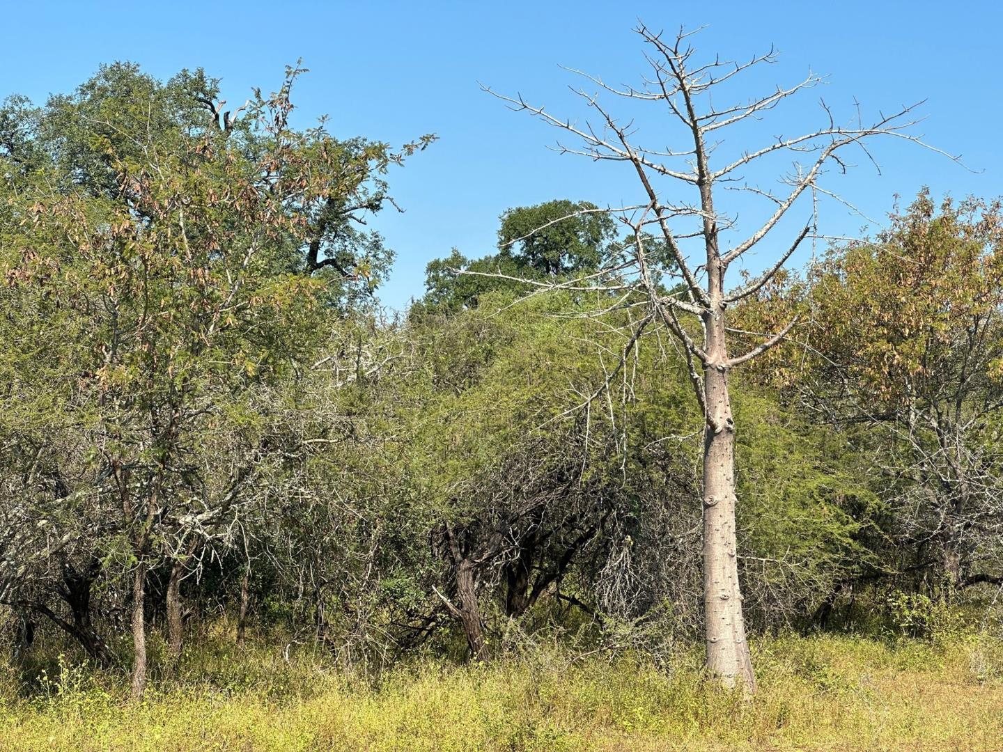 Vacant land / plots for sale in Marloth Park Marloth Park Property