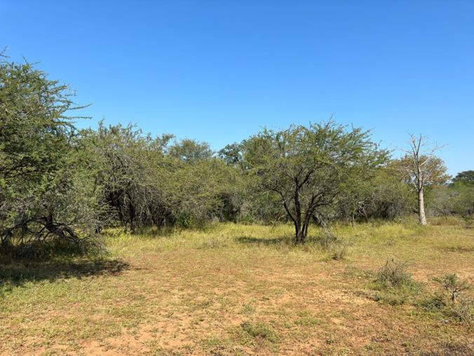 Vacant Land / Plot for Sale in Marloth Park