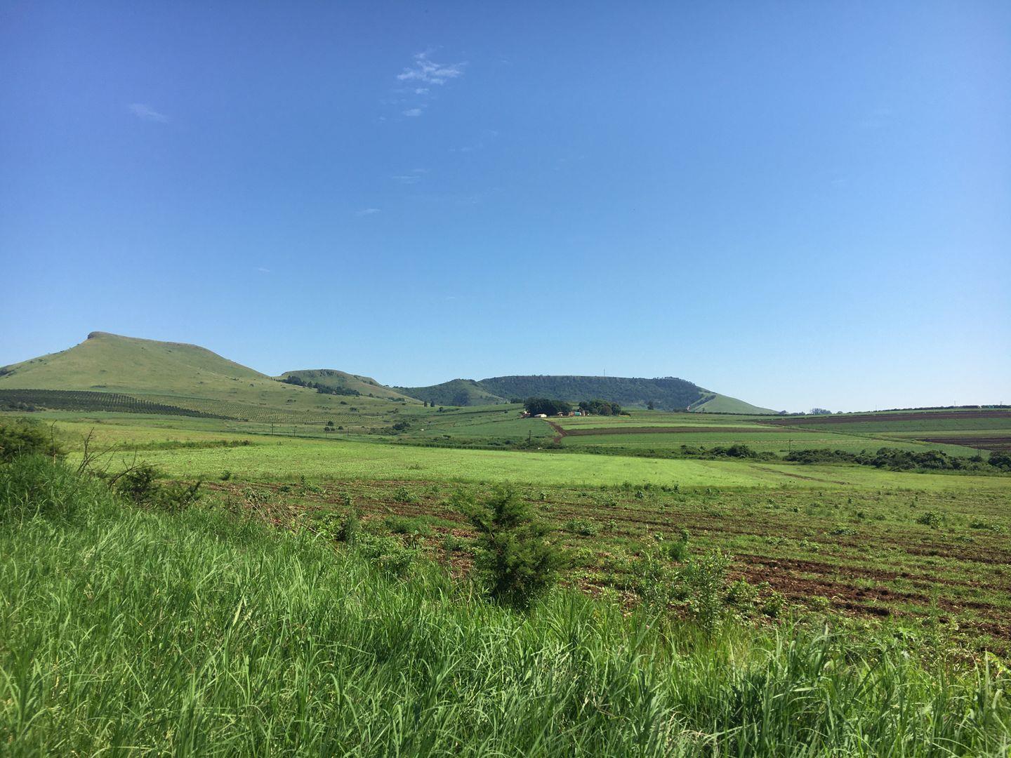 Farms for sale in Camperdown Camperdown Property