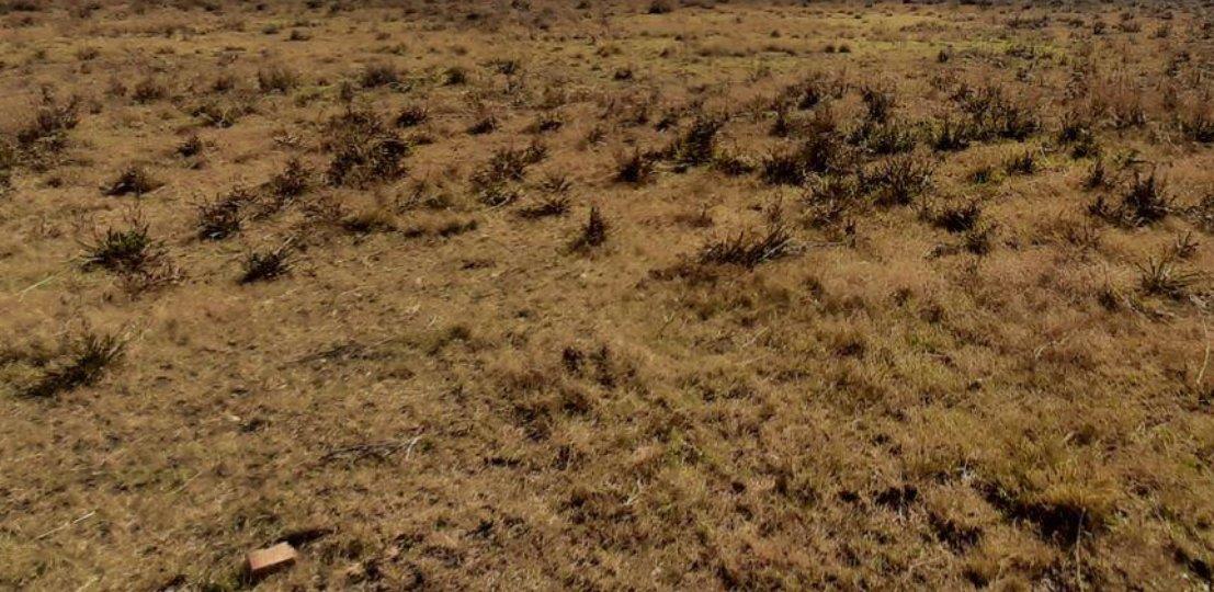 Endicott Property Vacant land / plots for sale in Endicott