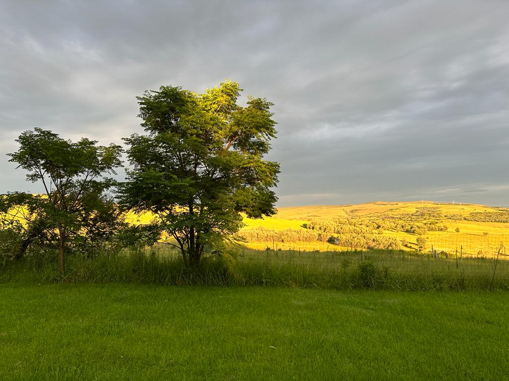 Newcastle Rural Property Property and houses for sale in Newcastle