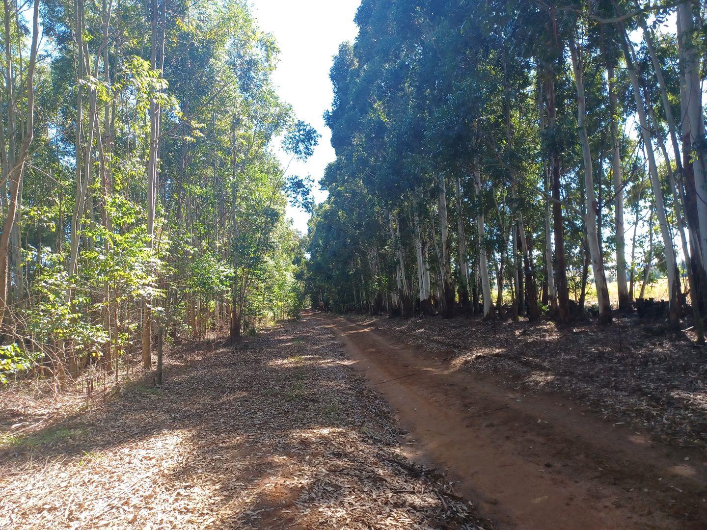 Farm for sale in Newcastle Rural P24112646272