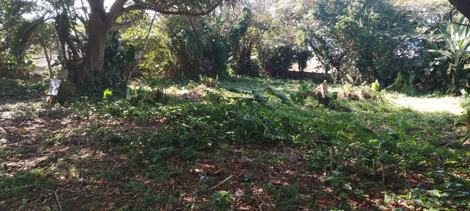 Kzn South Coast Property Vacant land / plot for sale in Kzn South Coast Page 29