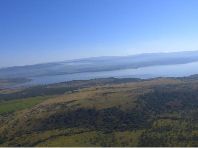 Farm for Sale in Albert Falls