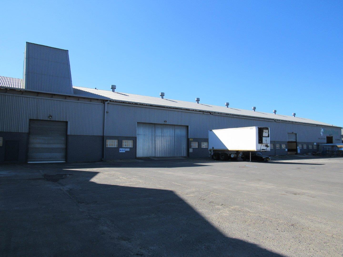 Property and houses to rent in Goodwood Goodwood Property