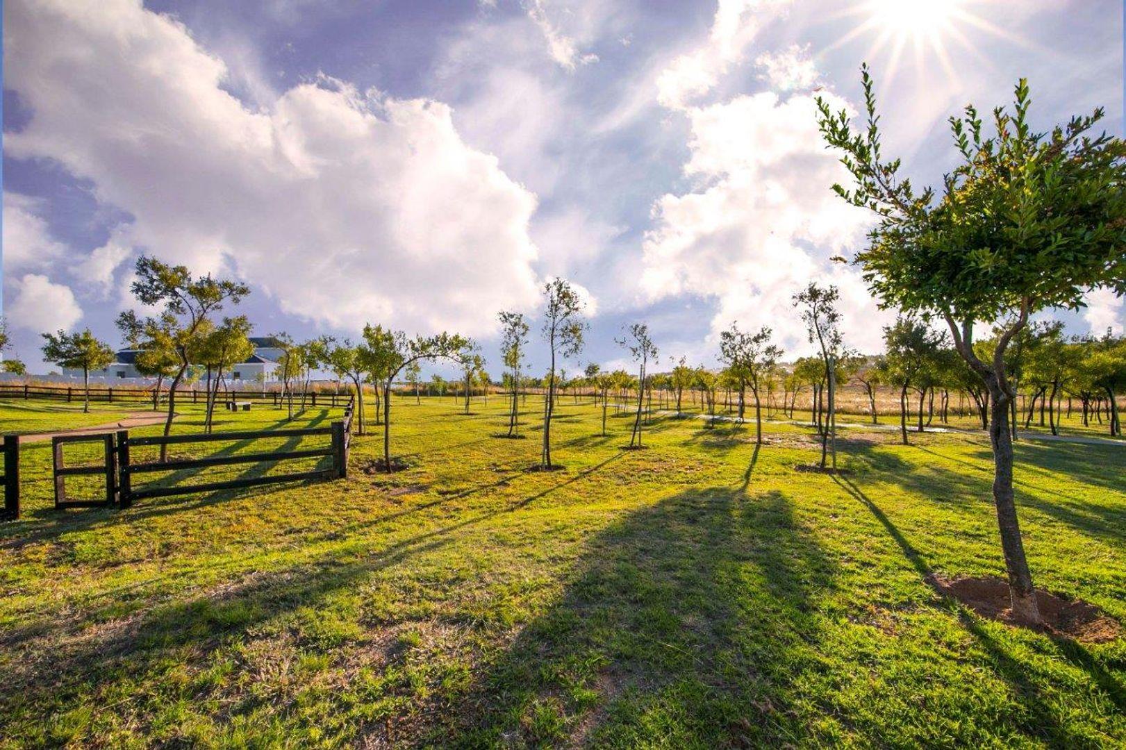 Vacant land / plots for sale in Midrand Midrand Property Property24