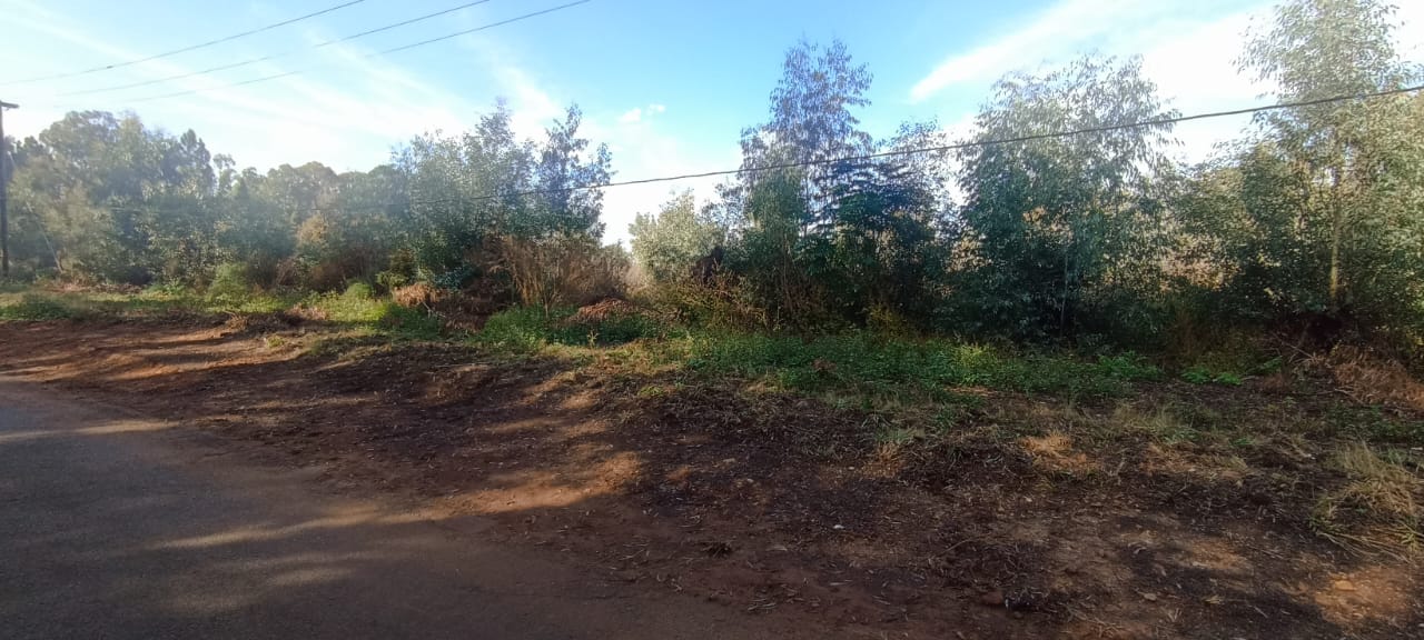 Henley On Klip Property Property and houses for sale in Henley On