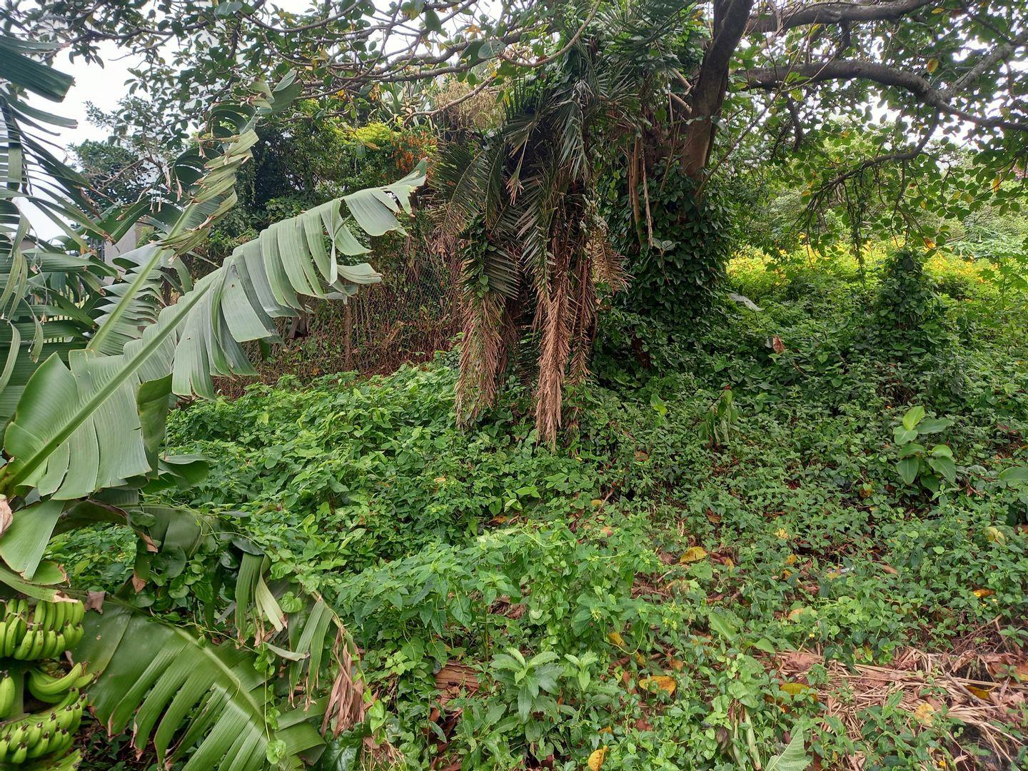 Vacant land / plots for sale in Blythedale Blythedale Property