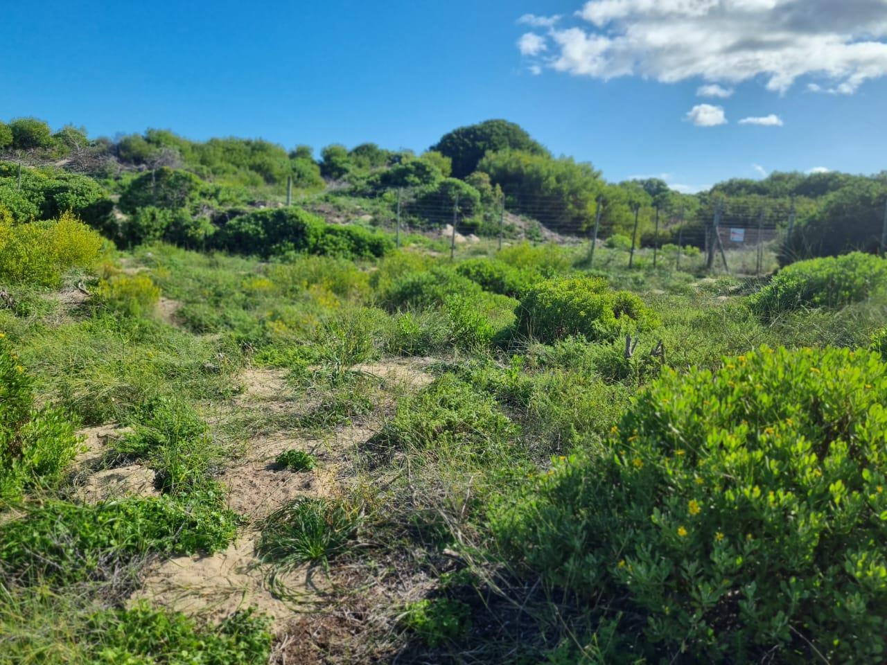 Vacant land / plots for sale in Hermanus Hermanus Property