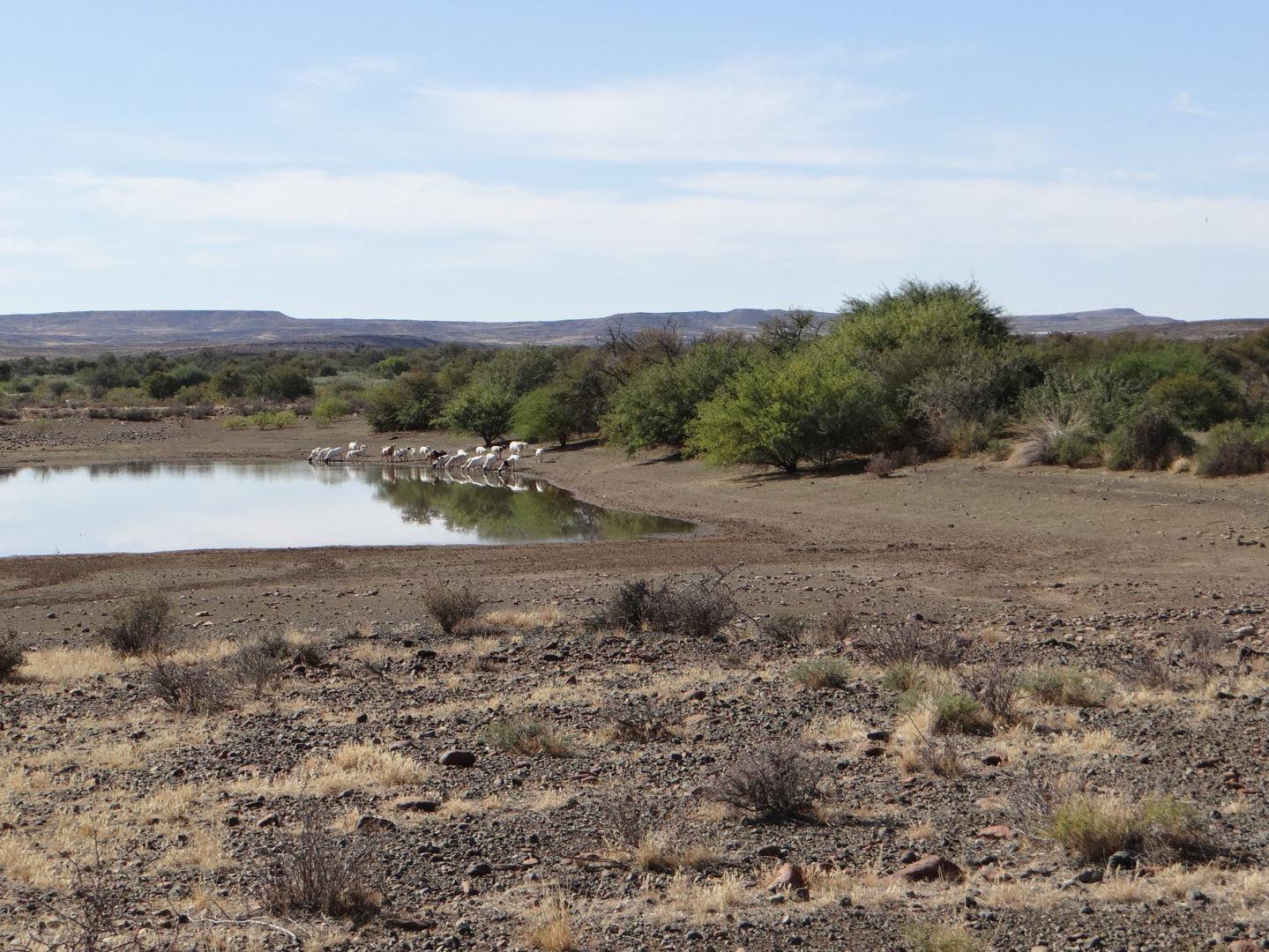 Farm for sale in Beaufort West Rural P24112684288