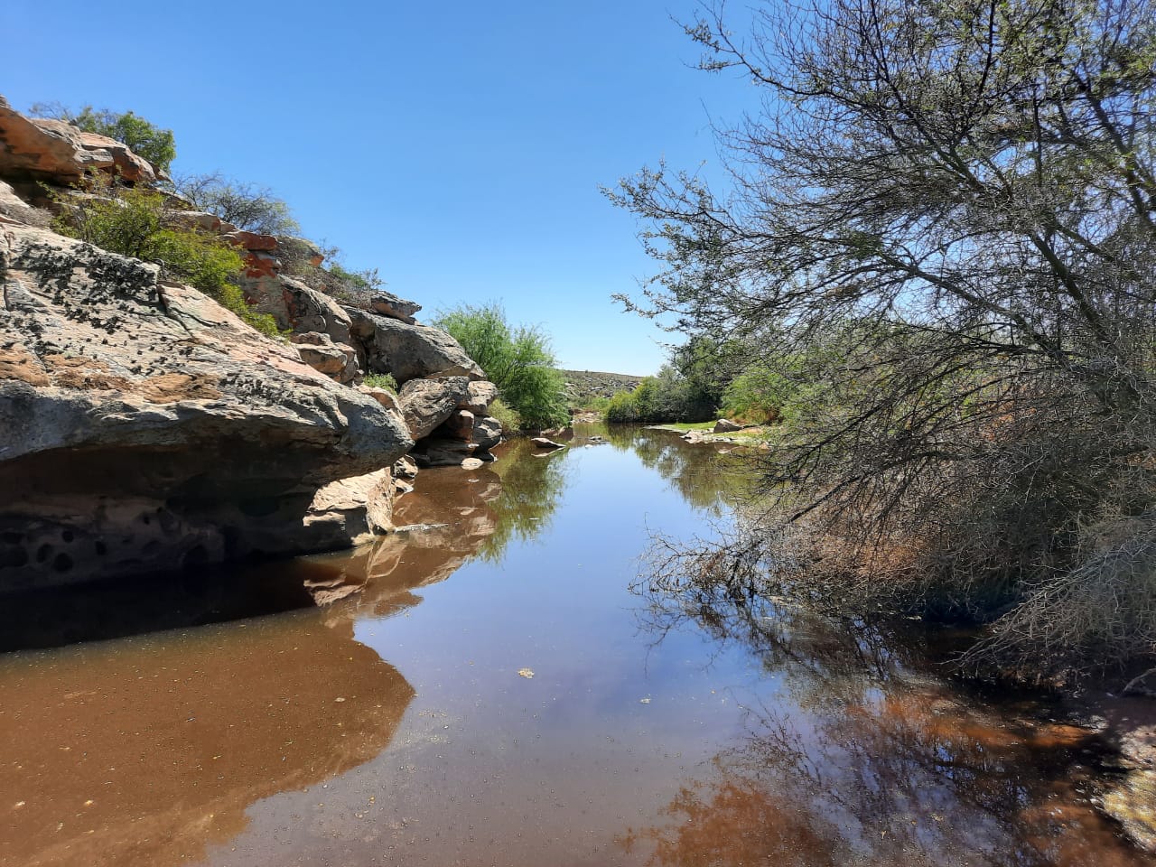 Property and houses for sale in Calvinia Calvinia Property