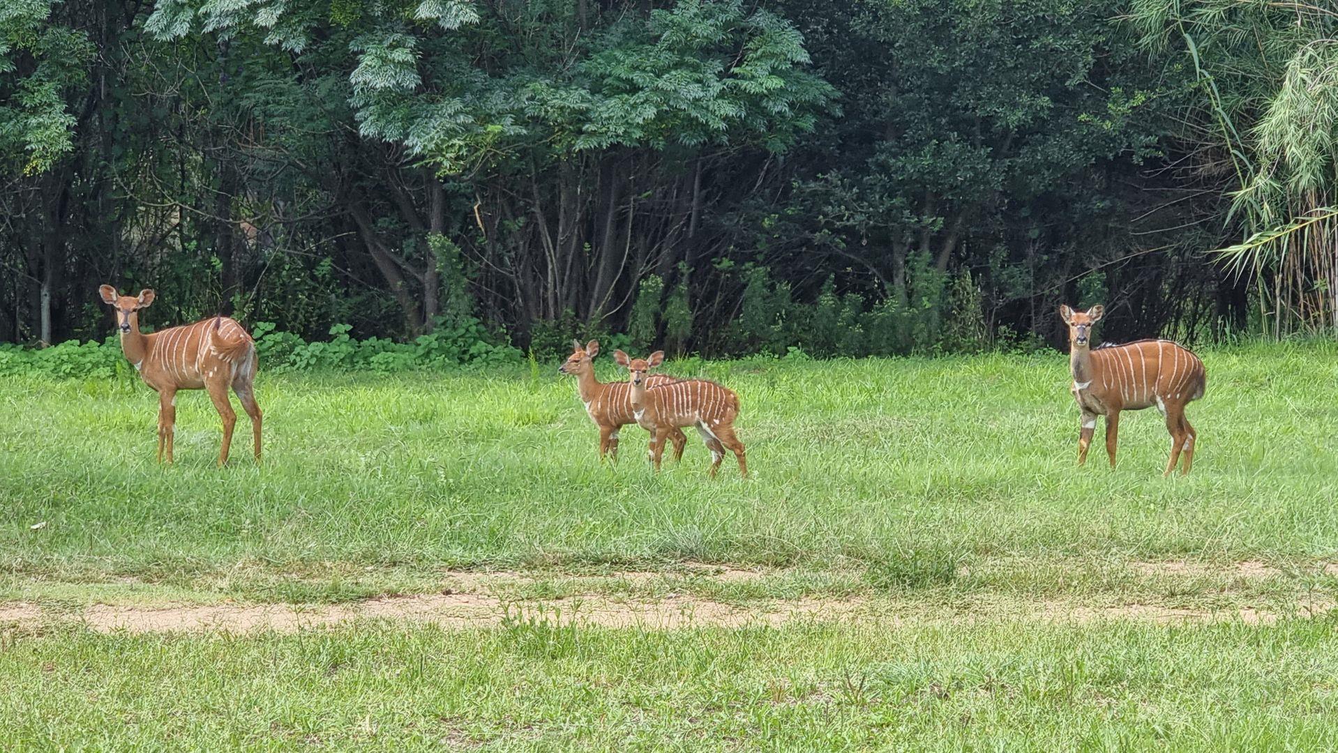 Vacant land / plot for sale in Blair Atholl Golf Estate P24112692716