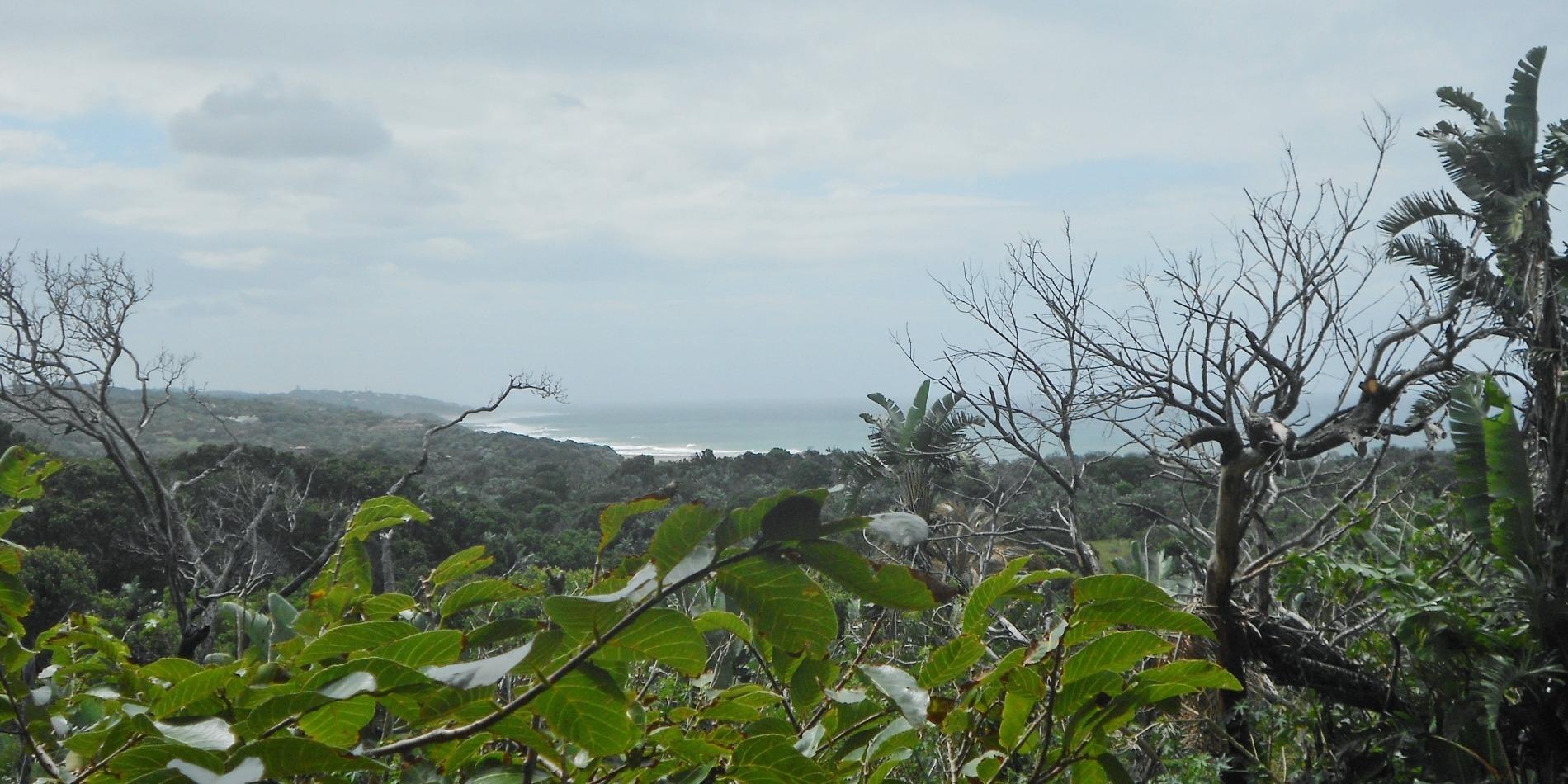 Vacant land / plot for sale in Trafalgar P24112693273