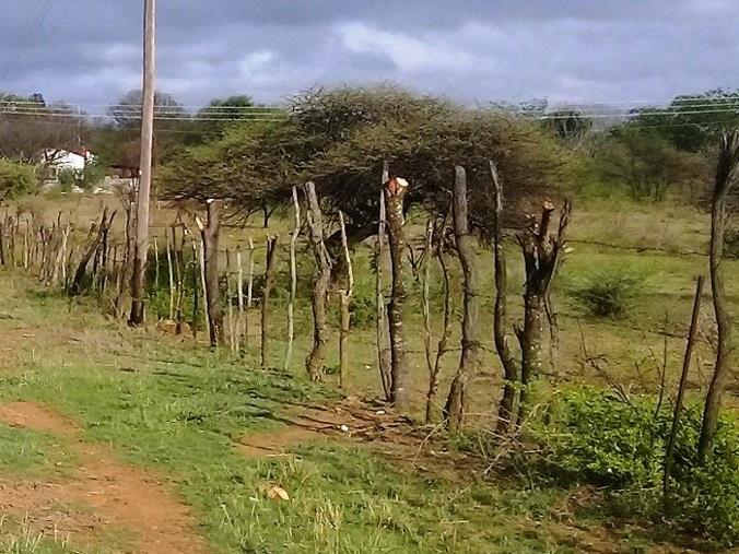 Vacant Land / Plot for Sale in Umguza Estate