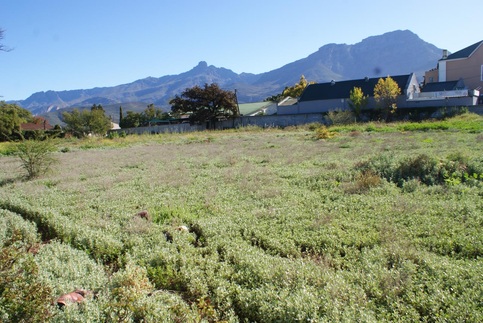 Vacant land / plots for sale in Ladismith Ladismith Property