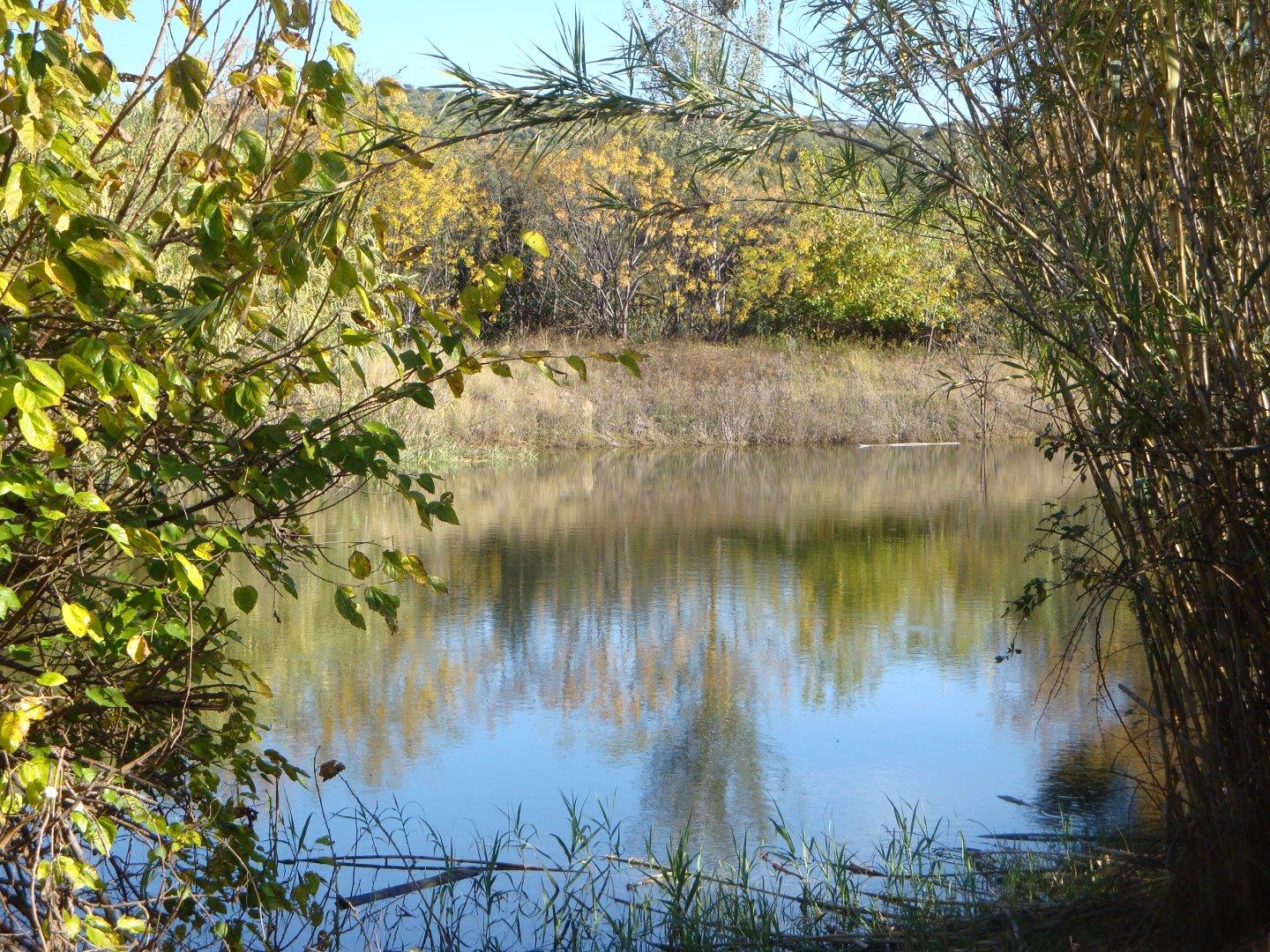 West Rand Property Farm for sale in West Rand Page 4