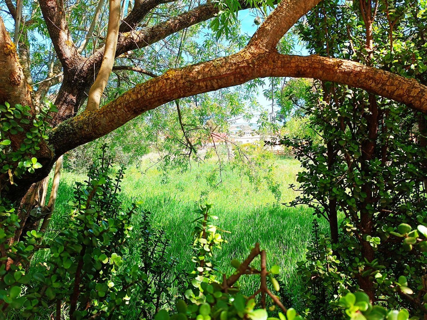 Vacant land / plot for sale in Napier 3 New Union Street Street P24