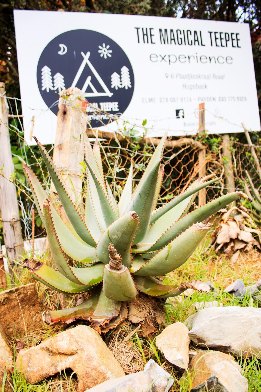 Farms for sale in Hogsback Hogsback Property