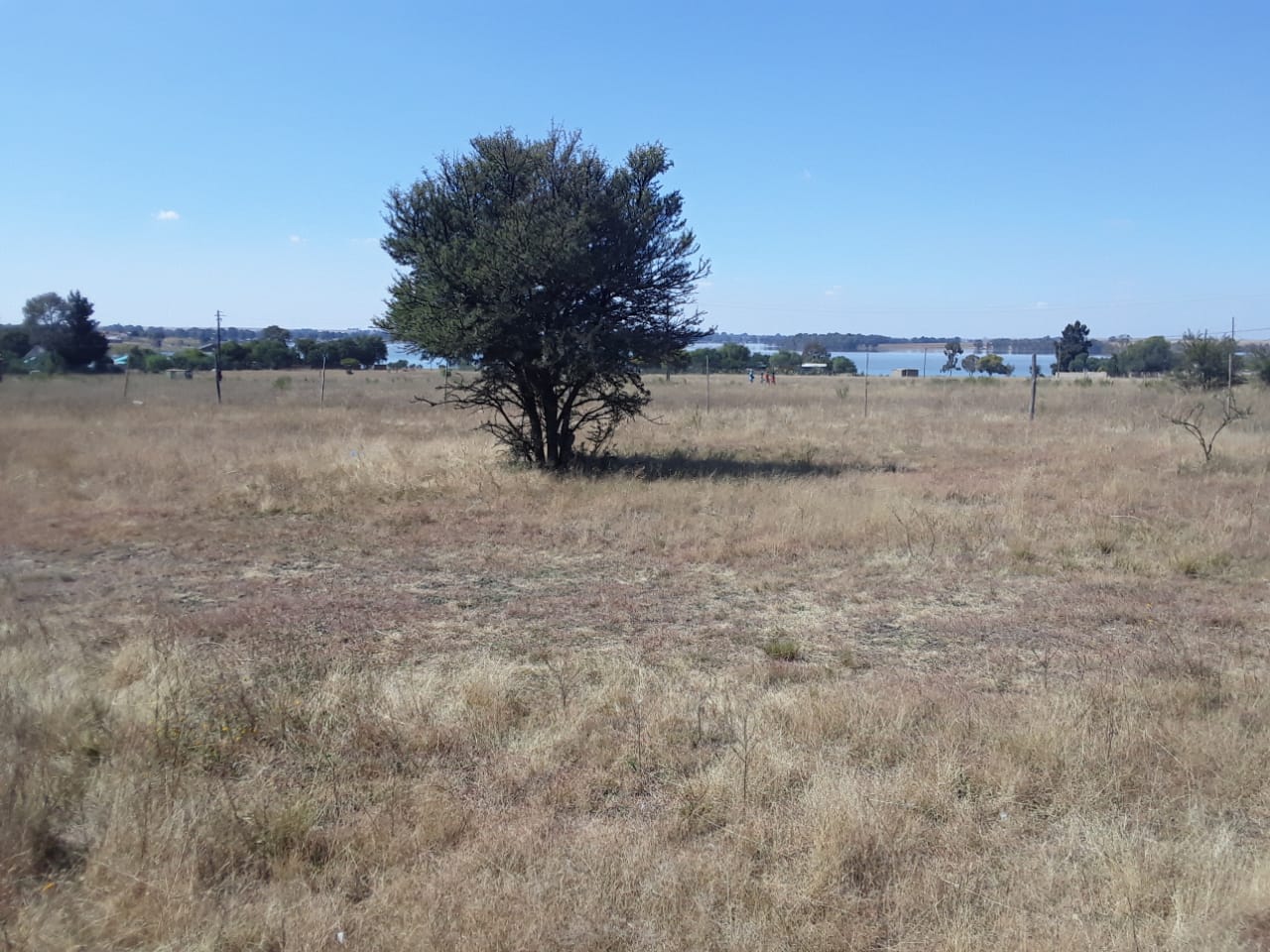 Vacant land / plot for sale in Oranjeville P24112719214