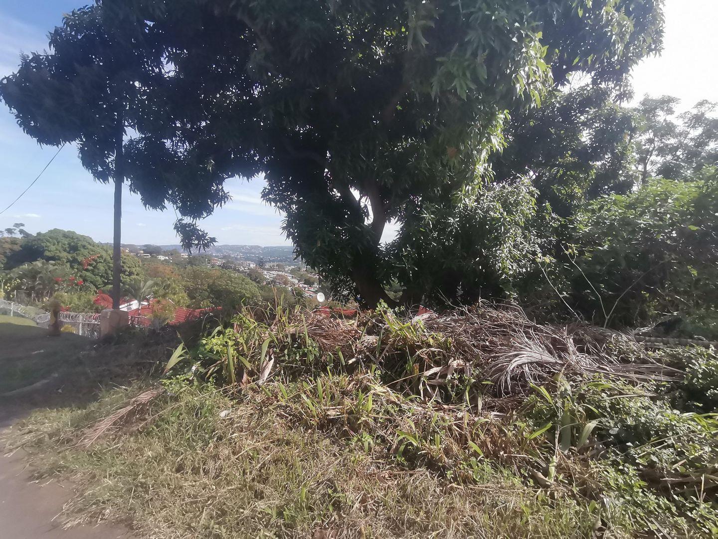 Greenwood Park Property Property and houses for sale in Greenwood