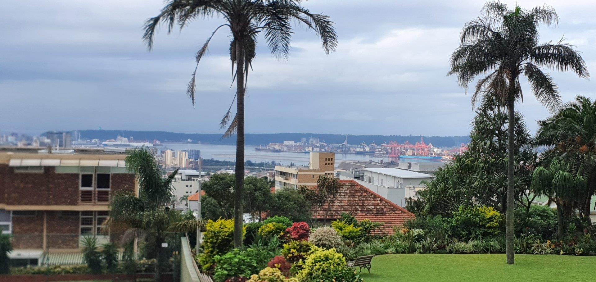 Glenwood, Durban Property Property and houses to rent in Glenwood