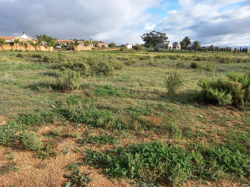 Vacant land / plot for sale in Moorreesburg Wild Fig Crescent P24