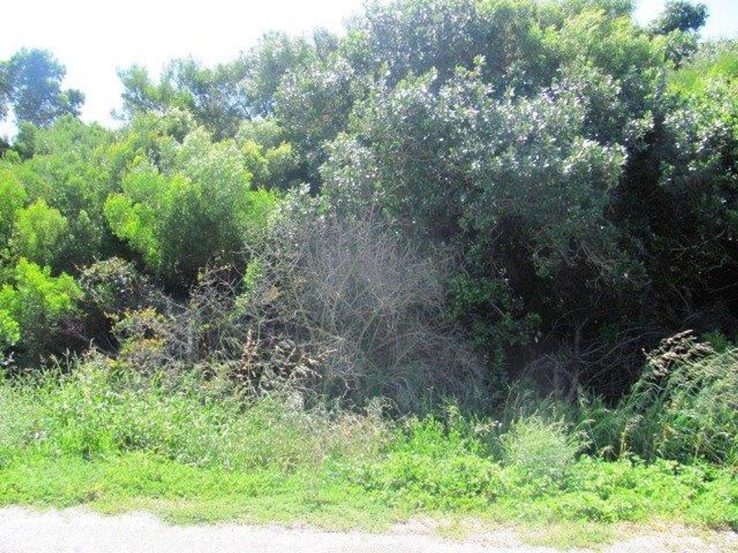 Paradise Beach, Jeffreys Bay Property Property and houses for sale in