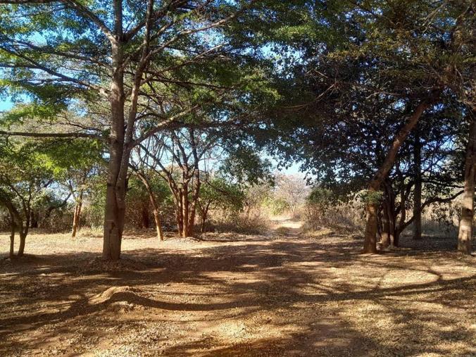 Vacant Land / Plot for Sale in Waterfalls