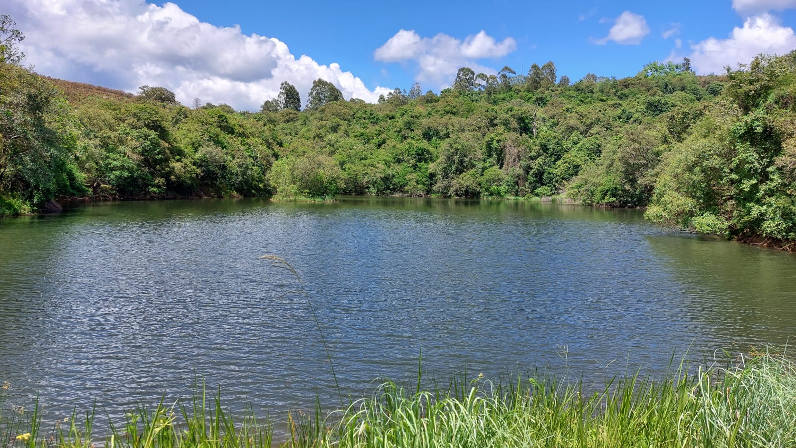 Farm for sale in Agatha Park P24112741151