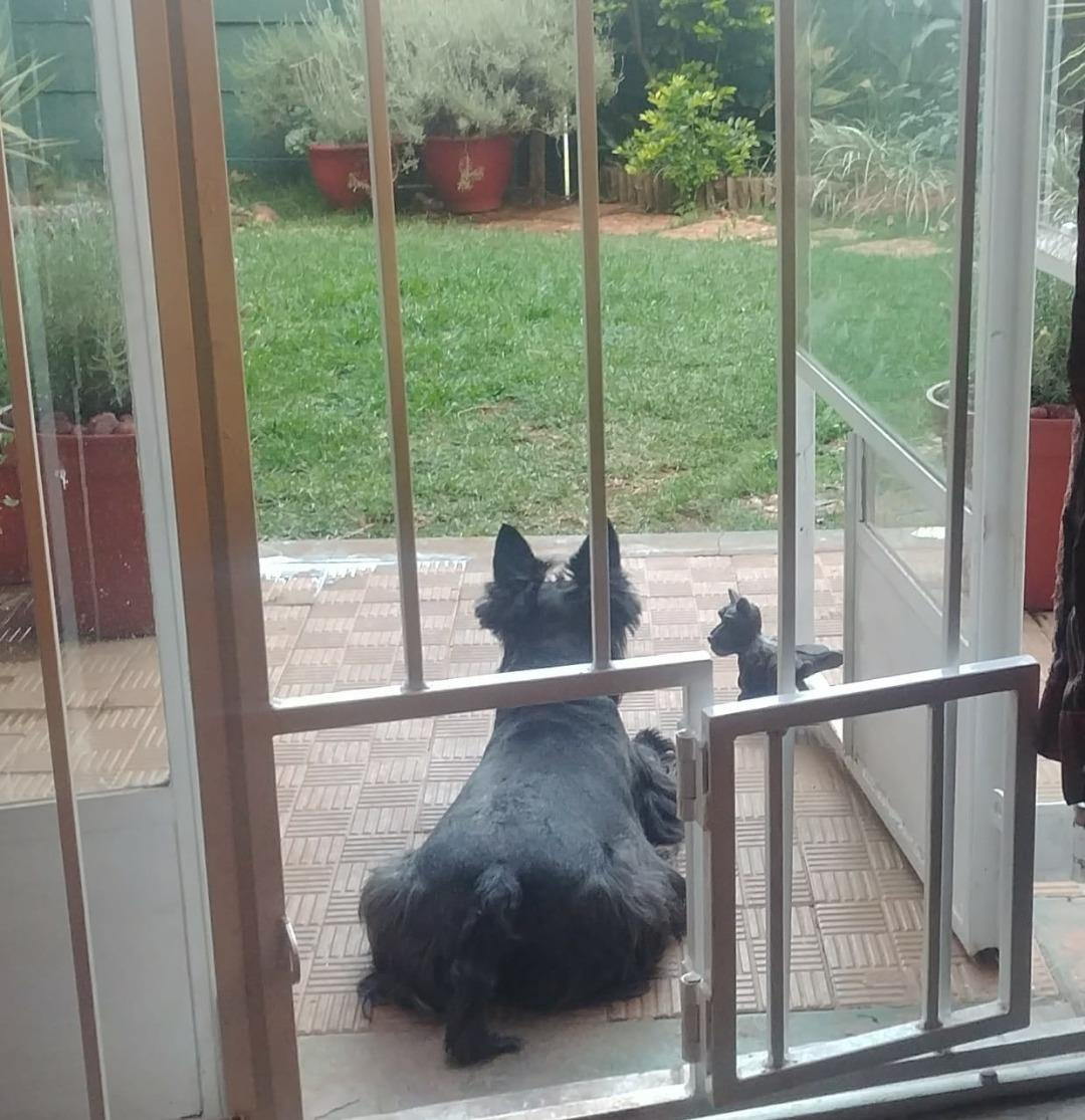 2 Bedroom Townhouse for sale in Kempton Park Ext 4 P24114444631