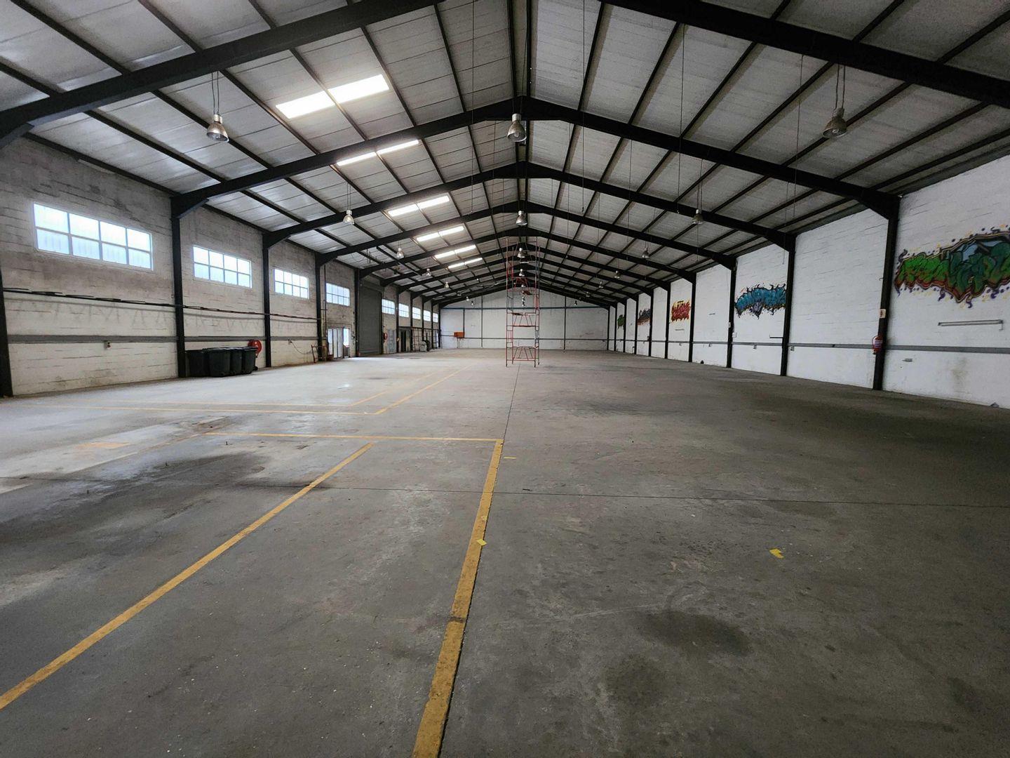 Rustdal Property Property and houses to rent in Rustdal