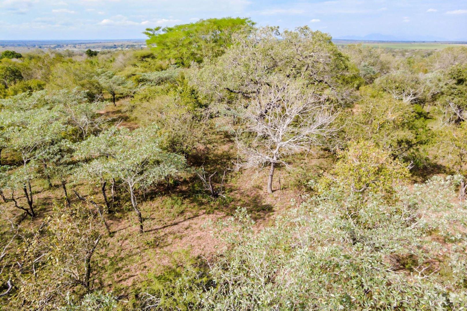 Vacant land / plots for sale in Marloth Park Marloth Park Property