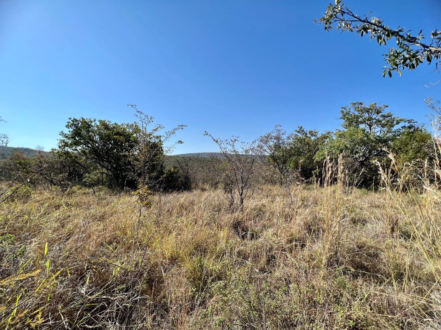 Zwartkloof Private Game Reserve Property Property and houses for sale