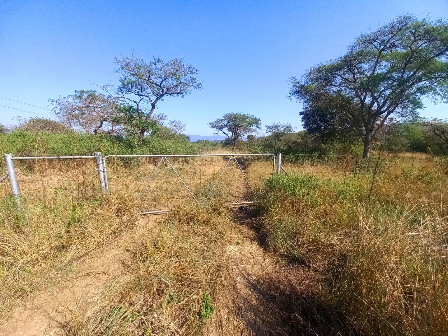 Farm for sale in Barberton Rural R40 P24112761297