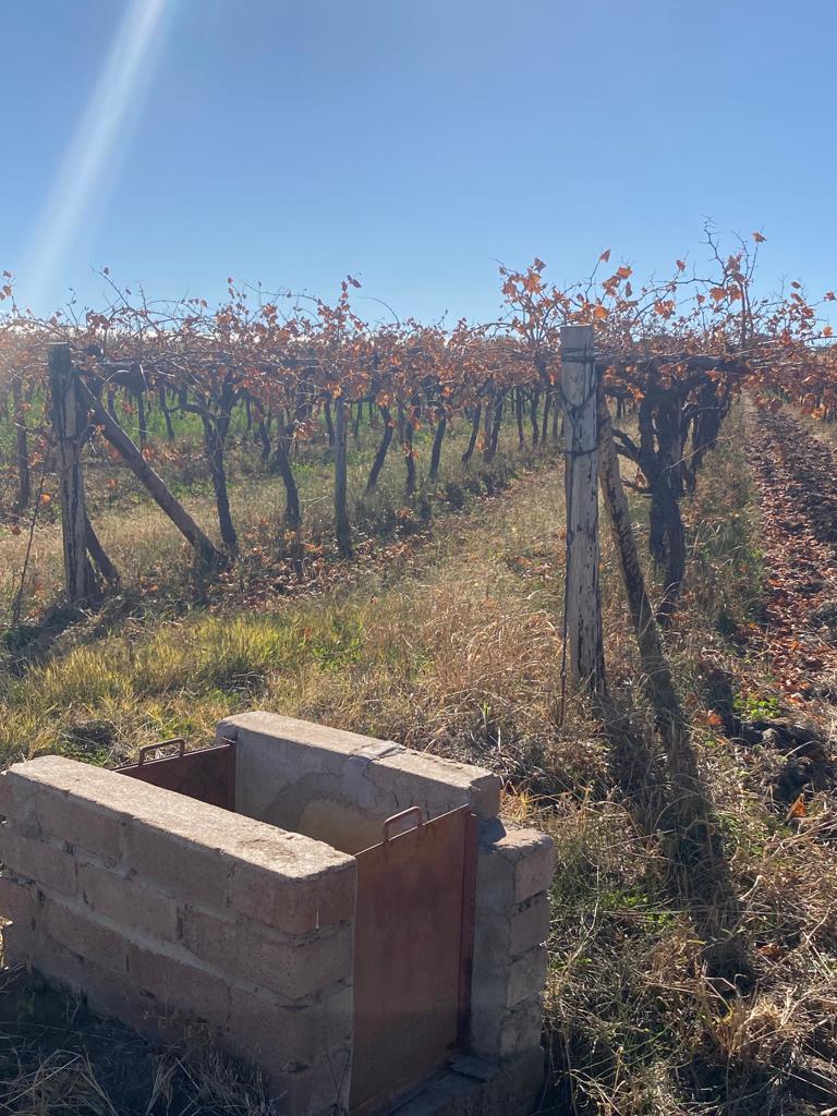 Property for sale in Northern Cape Farms for sale in Northern Cape