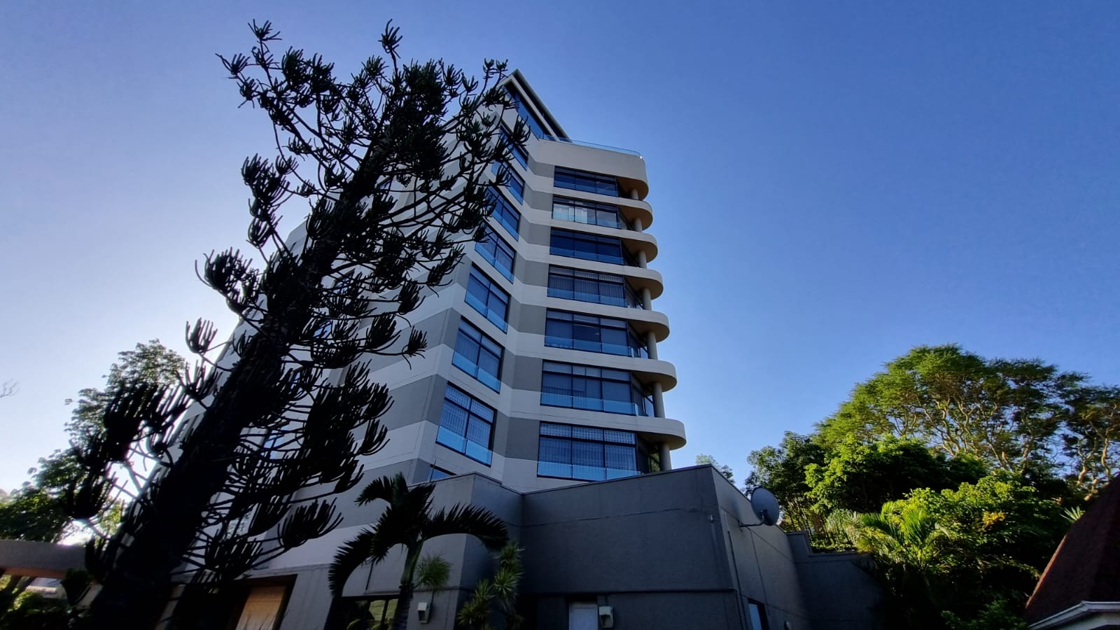 2 Bedroom Apartment / flat to rent in Musgrave P24114283569