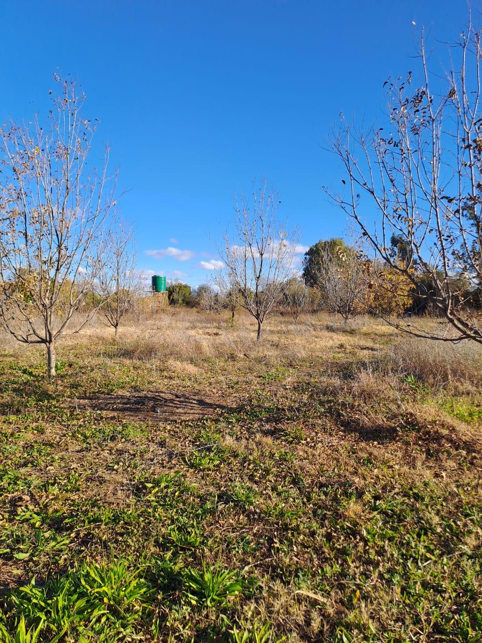Vacant land / plots for sale in Christiana Christiana Property