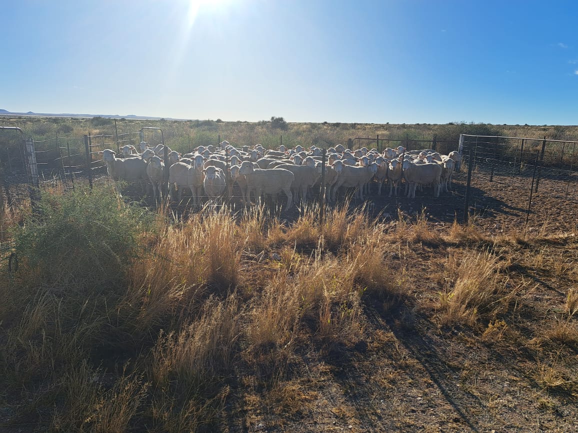 Farms for sale in Hopetown Hopetown Property