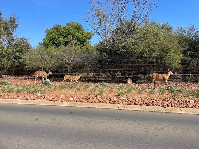 Pebble Rock Golf Village Property Property and houses for sale in