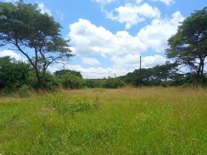 Vacant Land / Plot for Sale in Leopards Hill