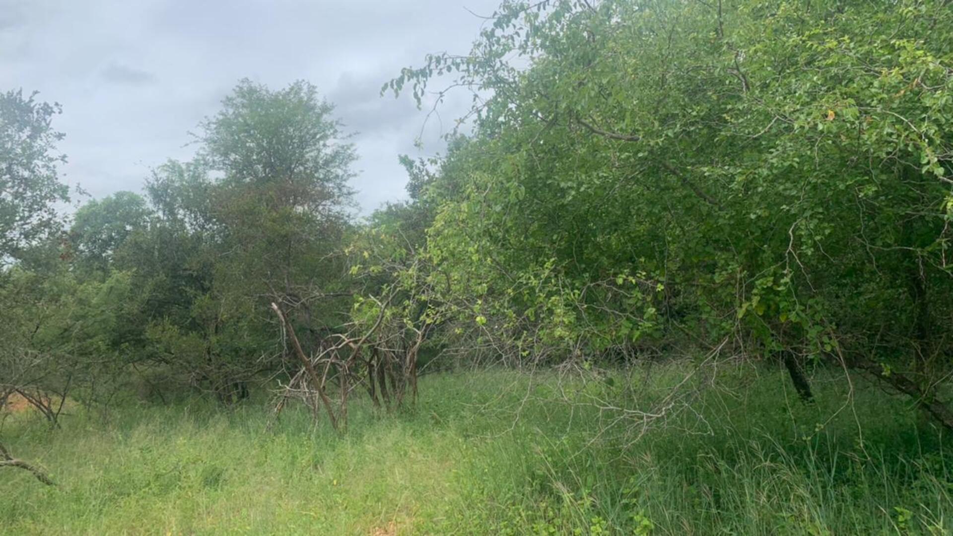 Vacant land / plot for sale in Marloth Park P24112846073