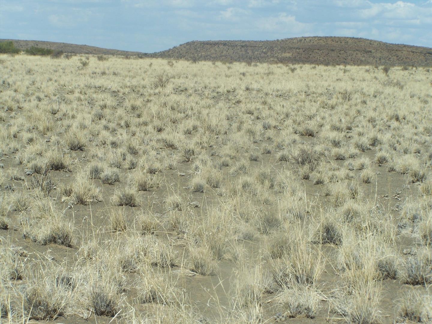 Farm for sale in Beaufort West Rural P24112858558