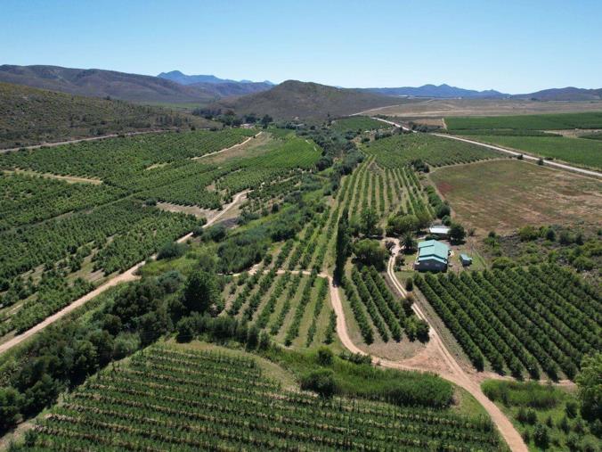 Farm for Sale in Uniondale Rural