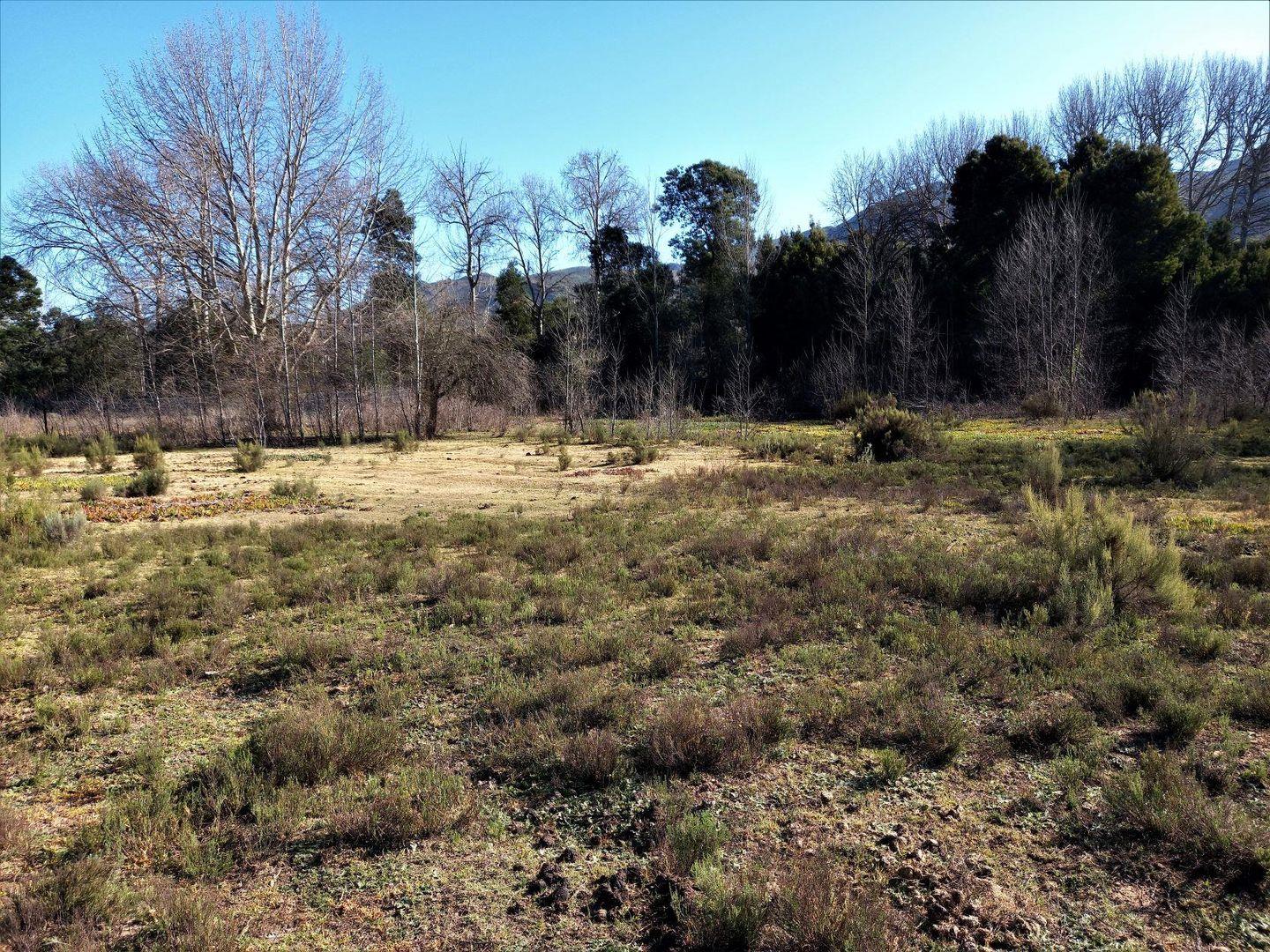 Farms for sale in Uniondale Uniondale Property Page 3