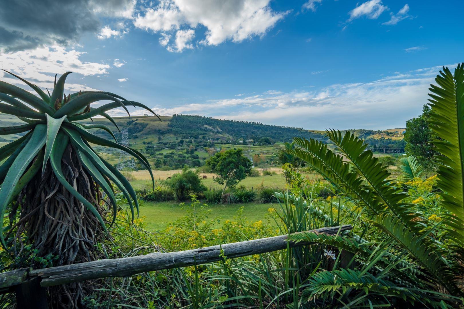 Farm for sale in Cliffdale P24112888294