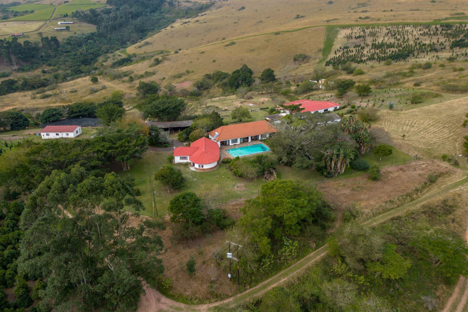 Farm for sale in Camperdown P24112836181