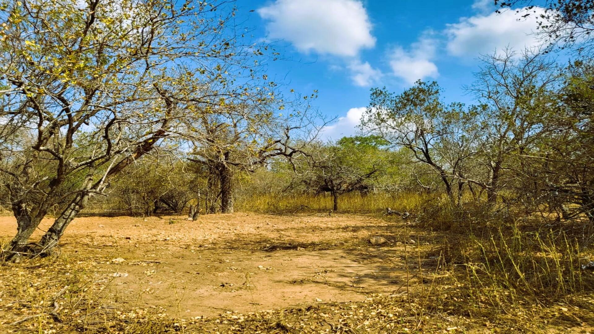 Vacant land / plots for sale in Marloth Park Marloth Park Property