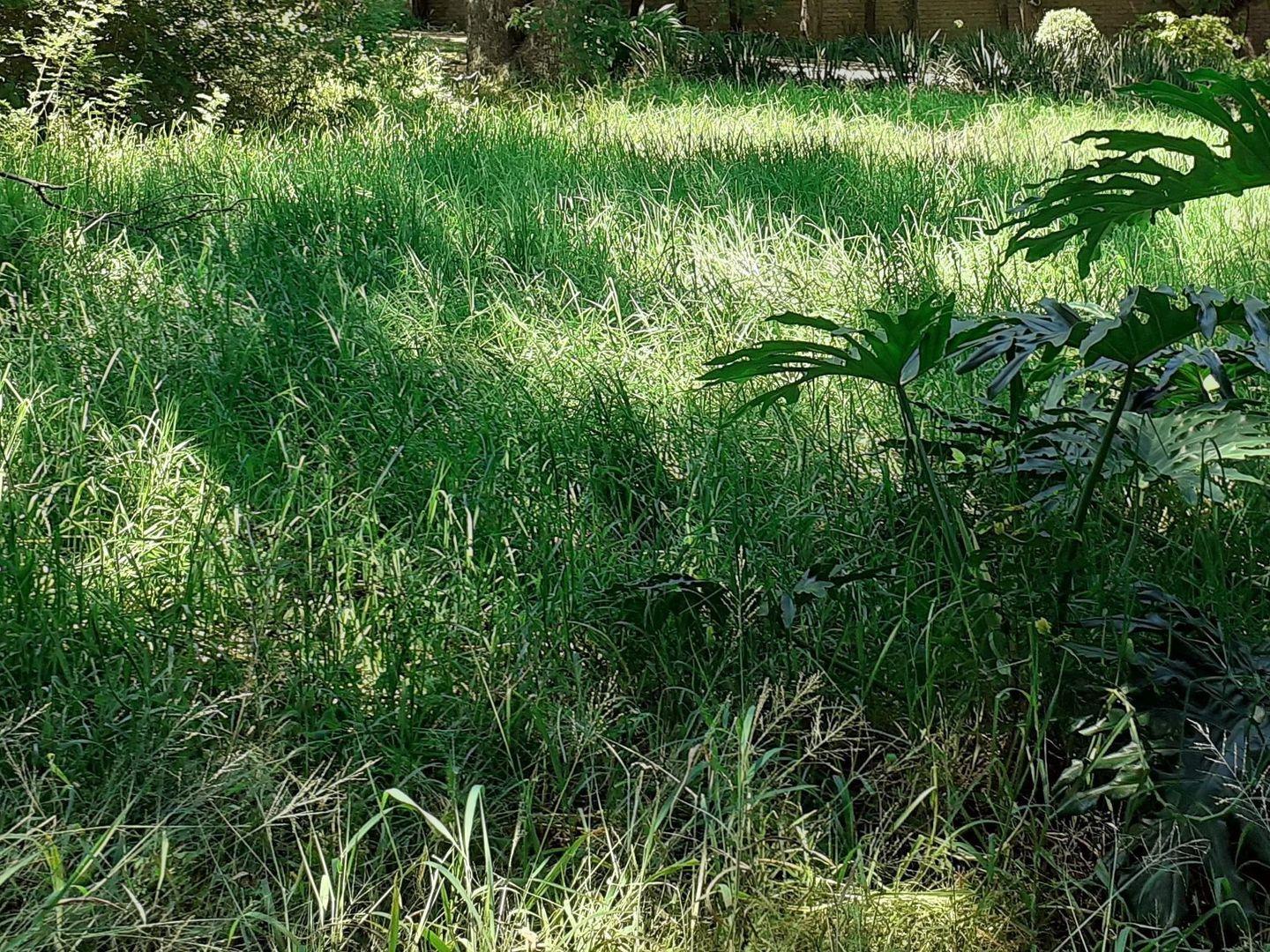 Vacant land / plots for sale in Johannesburg Johannesburg Property Page 8