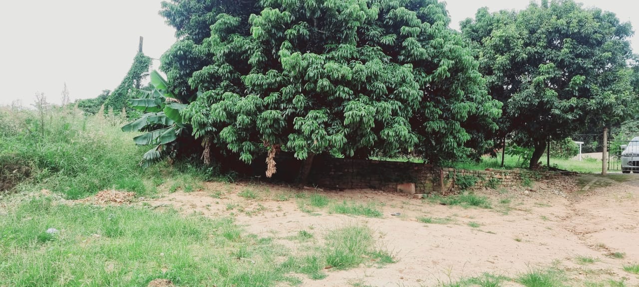 Property and houses for sale in Verulam Verulam Property Property24