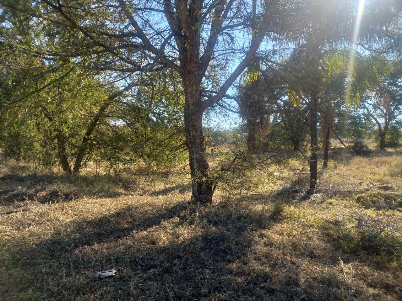 Vacant land / plot for sale in Bela Bela P24112965227